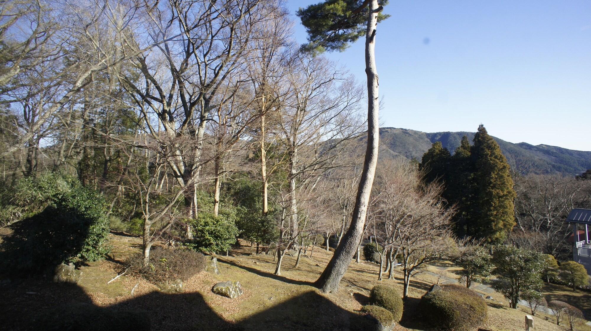 Hakone Forest Of Verde Exteriör bild
